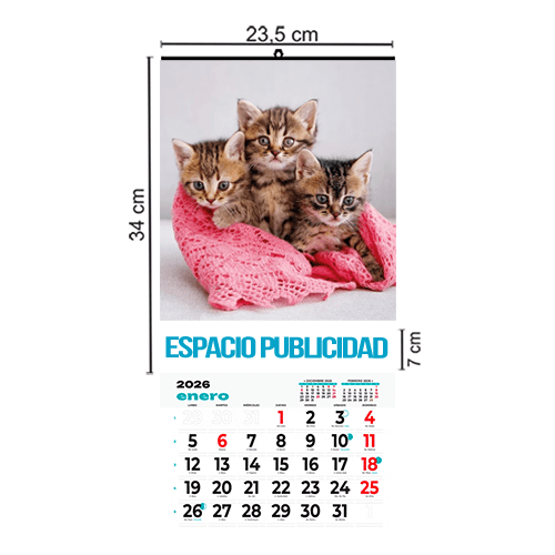 Calendario Pared Folio 23,5x34 cm Mensual