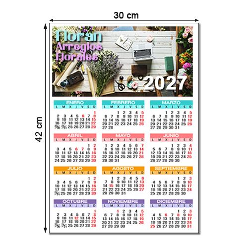 Calendario Pared anual 30 x 42cm TODO COLOR