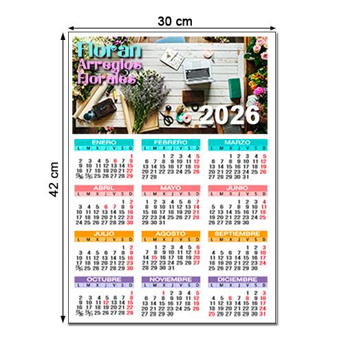 Calendario Pared anual 30 x 42cm TODO COLOR